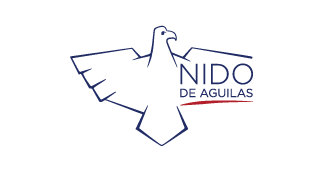Logo del Colegio Nido de Águilas, institución educativa internacional en Santiago de Chile